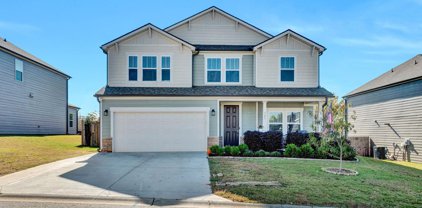 305 Blue Danube Drive, Simpsonville