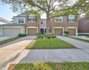 4916 Chatham Gate Drive, Riverview image