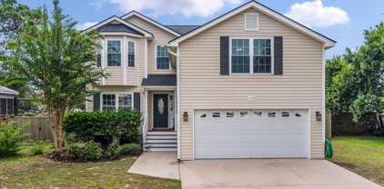 1029 Clearspring Drive, Charleston