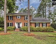 9 Springsdan Lane, Columbia image