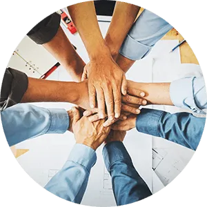 Meet Our Team