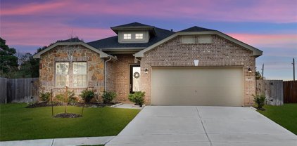 102 Hollow Terrace Court, Tomball