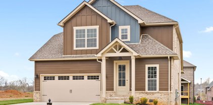 471 Spiderwort Drive, Clarksville