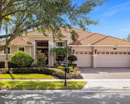 11550 Delwick Drive, Windermere