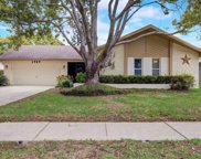 1757 Macdonnell Drive, Palm Harbor image