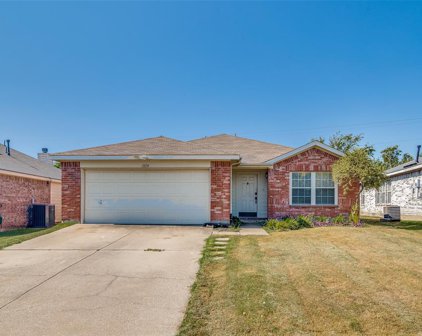 1119 Singletree  Drive, Forney