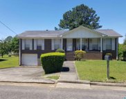 8 Royal Coach Circle, Bessemer image