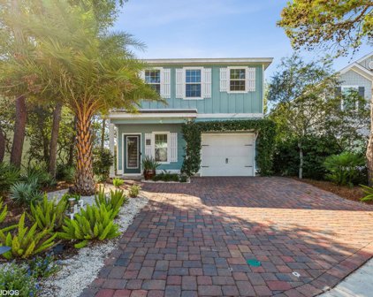 23 Grayling Way, Inlet Beach