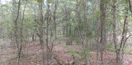 34 WOOD DUCK, Lincolnton