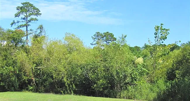 Park Hill Nature Preserve