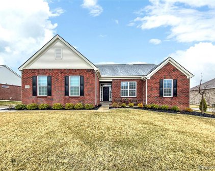 61602 MUSTANG, Lyon Twp