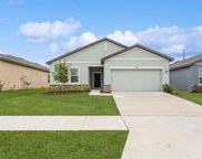 2385 Harris Hawk Avenue, Ruskin image