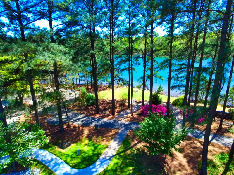 Jetton Park