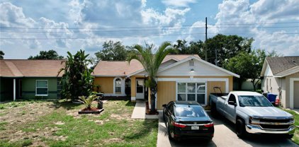 2108 Ridgemore Drive, Valrico