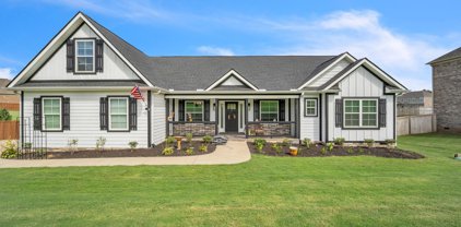 132 Braemar Knoll Drive, Greer