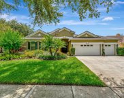 12307 Freesia Court, Riverview image
