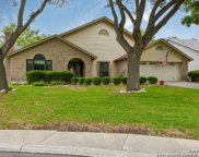 3617 Elm Ct, Schertz image