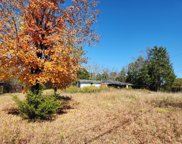 897 Holly Grove Rd, Lascassas image
