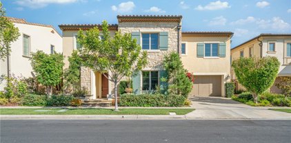 76 English Saddle, Irvine