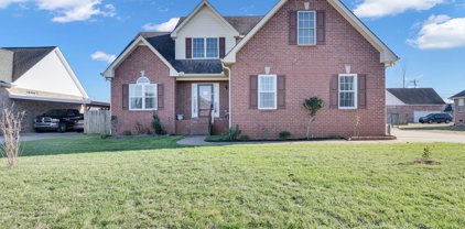 1033 Crystal Bear Trl, Murfreesboro