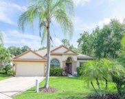 23223 23223 Emerson Way Way, Land O' Lakes image