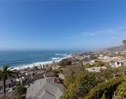31201 Ceanothus, Laguna Beach image