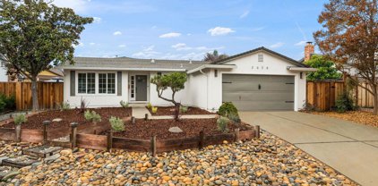 3626 Platt Ct, Pleasanton