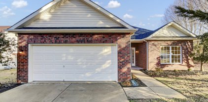 100 Coldwater Dr, Hendersonville