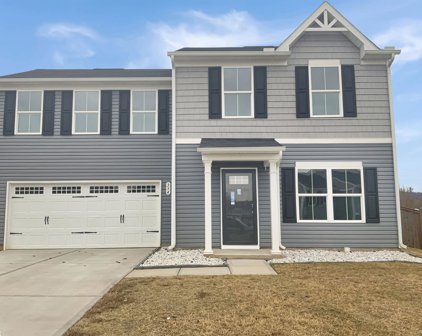 334 Maplestead Farms Court, Greenville