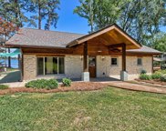 3565 Wessinger Road, Chapin image