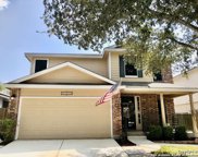 10358 Tiger Paw, San Antonio image