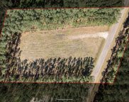147 Vintage Lane, Summerville image