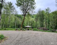 213 Winston Creek Road, Mossyrock image