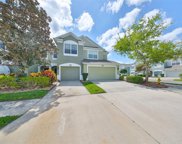 10205 Red Currant Court, Riverview image