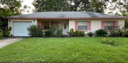 1844 Matterhorn Drive, Orlando