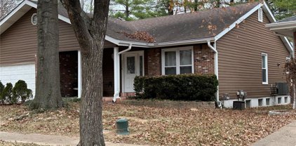 1254 Weatherton Place, Ballwin