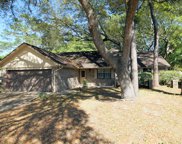 672 St Lucia Cove, Niceville image